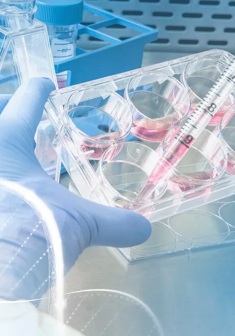 Enzyme Analysis and Quality Control Platform